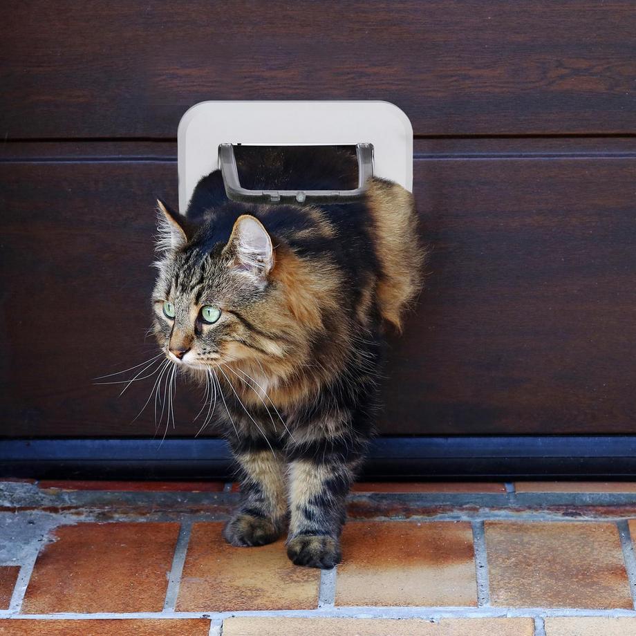 B2X  Trappe verrouillable pour animaux de compagnie 