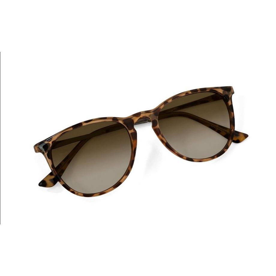 Nectar Shockoe Lunettes de soleil  