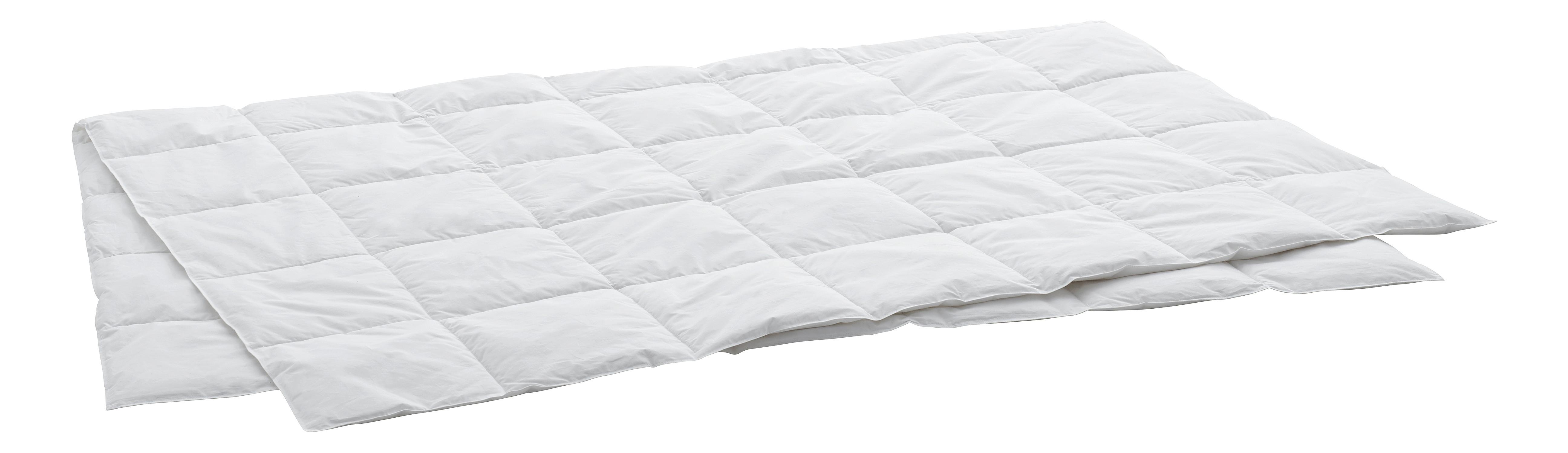 Swiss Dream Duvet Clima Caro Light Classic 90  