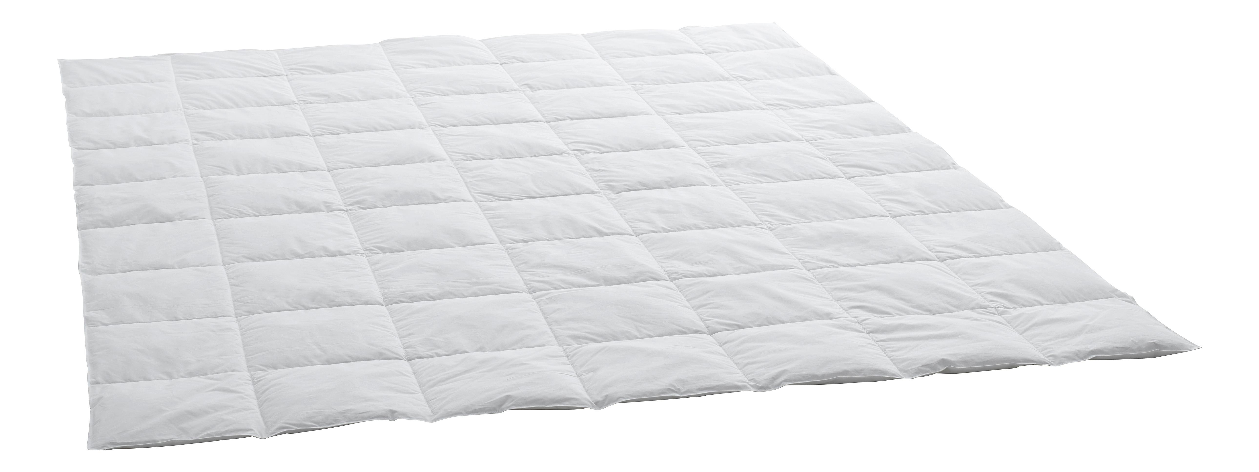 Swiss Dream Duvet Clima Caro Light Classic 90  