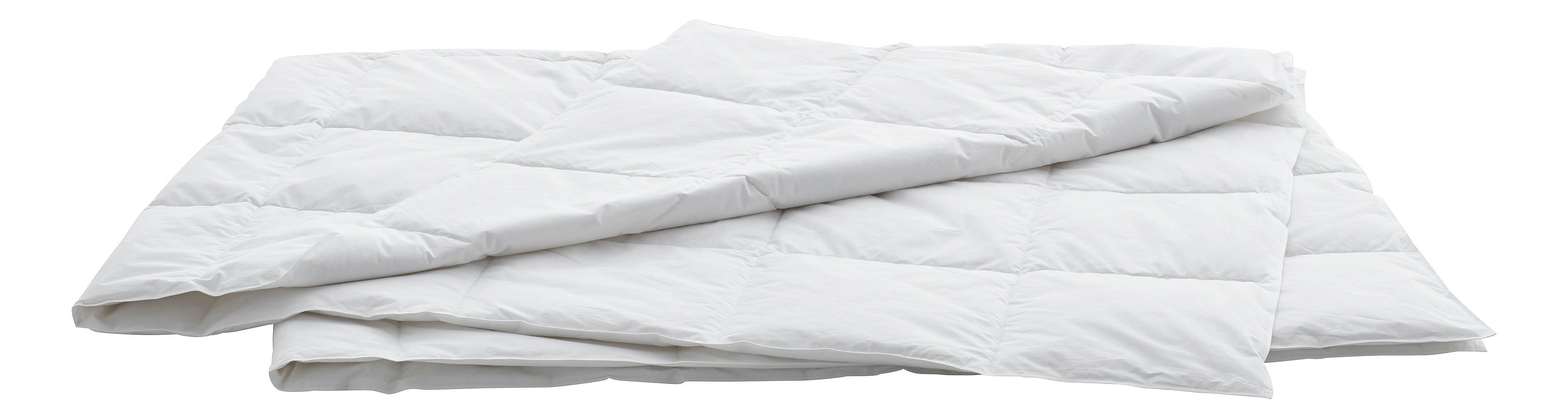 Swiss Dream Duvet Clima Caro Light Classic 90  