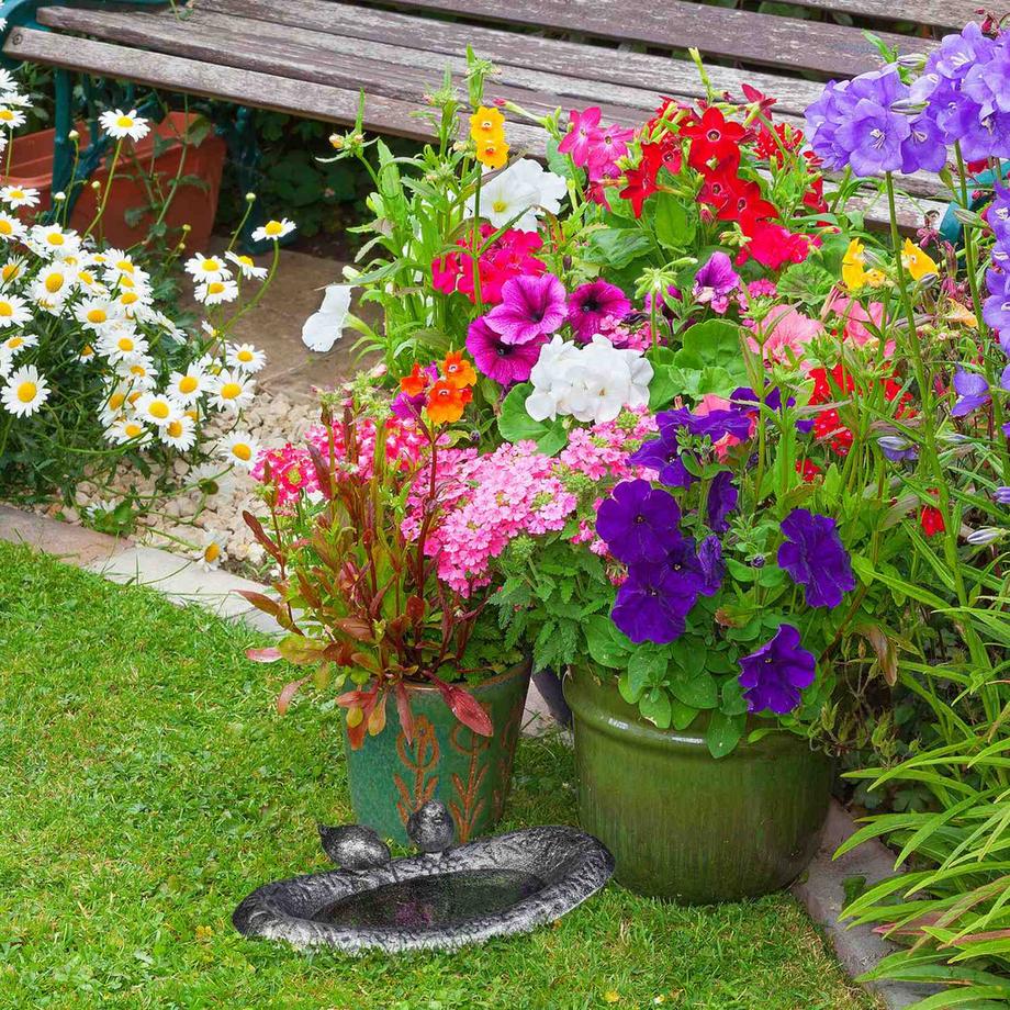 B2X  Vogelbad aus Gusseisen mit Vögeln 