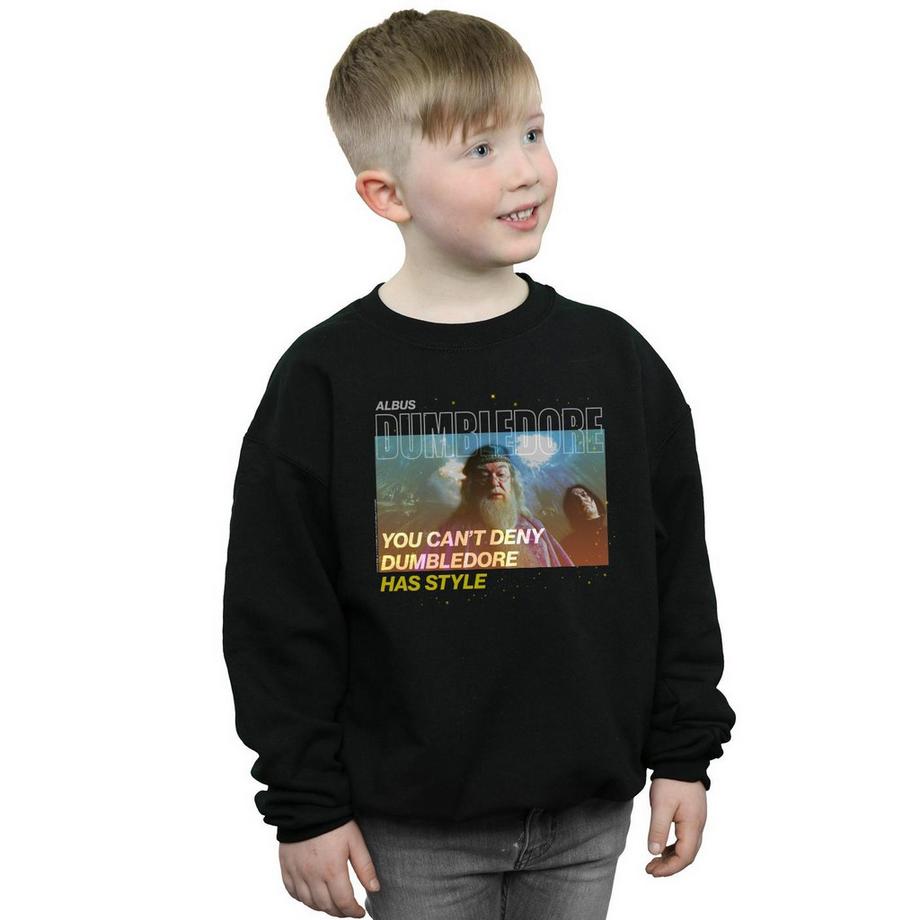 Harry Potter  Style Sweatshirt 