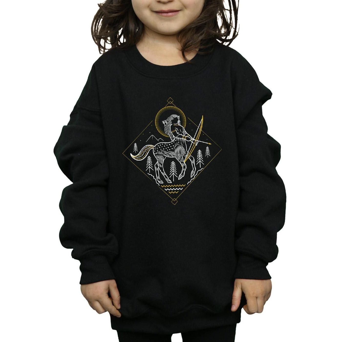 HARRY-POTTER  Sweatshirt 