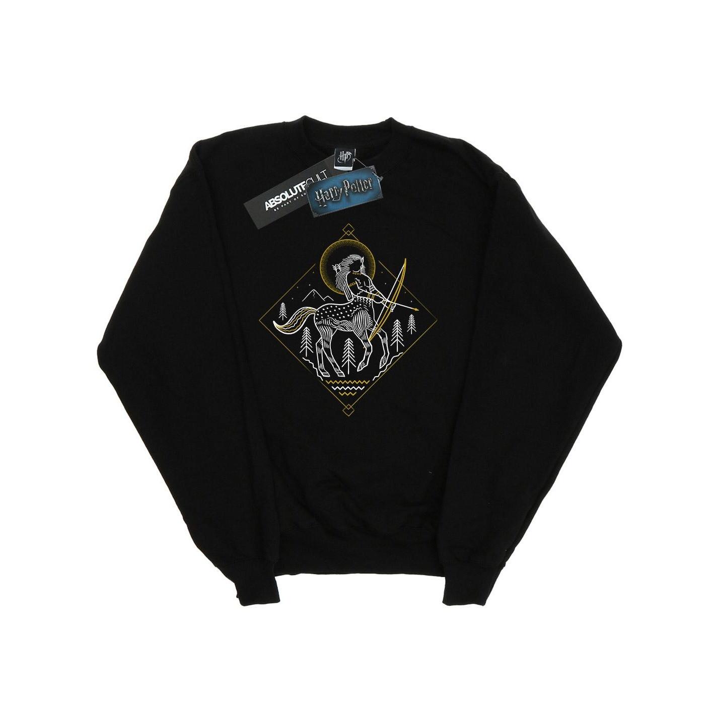 HARRY-POTTER  Sweatshirt 