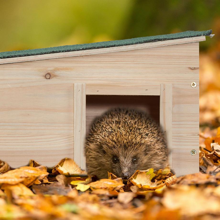 B2X  Bidons d'eau pliables Lot de 4 20 l 