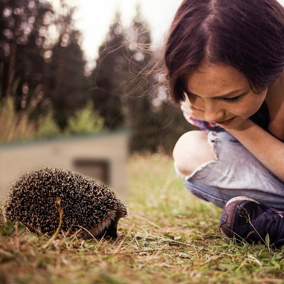 B2X  Bidons d'eau pliables Lot de 4 20 l 