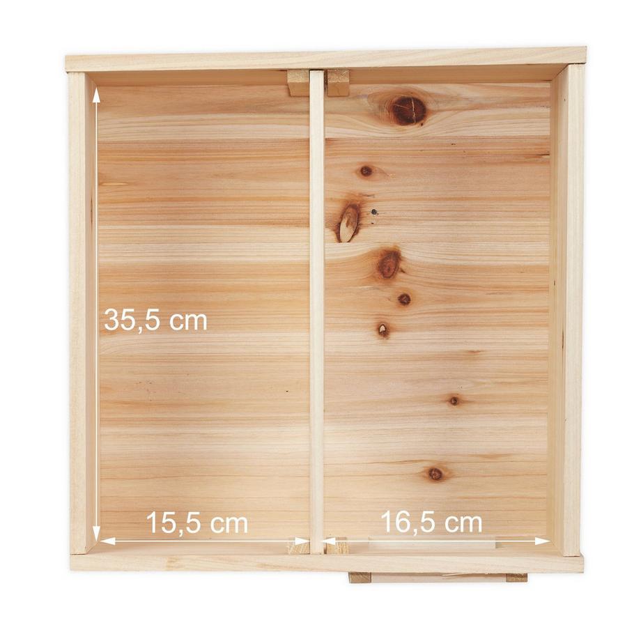 B2X  Bidons d'eau pliables Lot de 4 20 l 