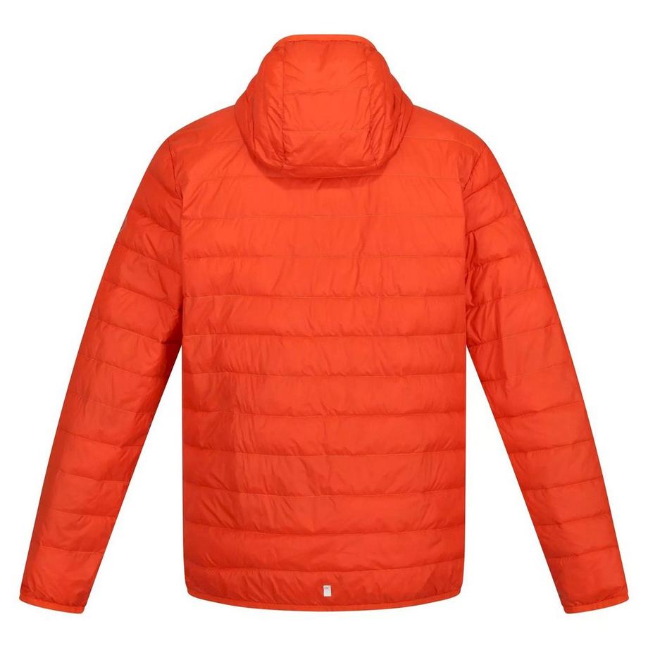 Regatta Giacca Leggera Hillpack  