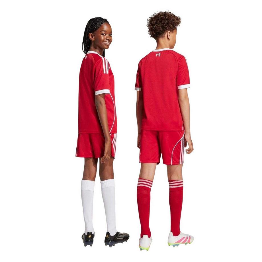 adidas  Short Domicile Motiftyle Liverpool Fc 2025/2026 