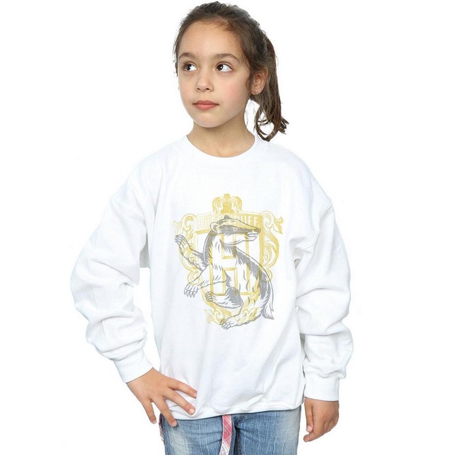 Harry Potter  Hufflepuff Sweatshirt 