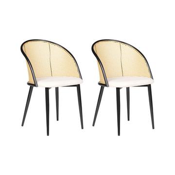 Lot de 2 chaises en Métal Rétro CORNELL