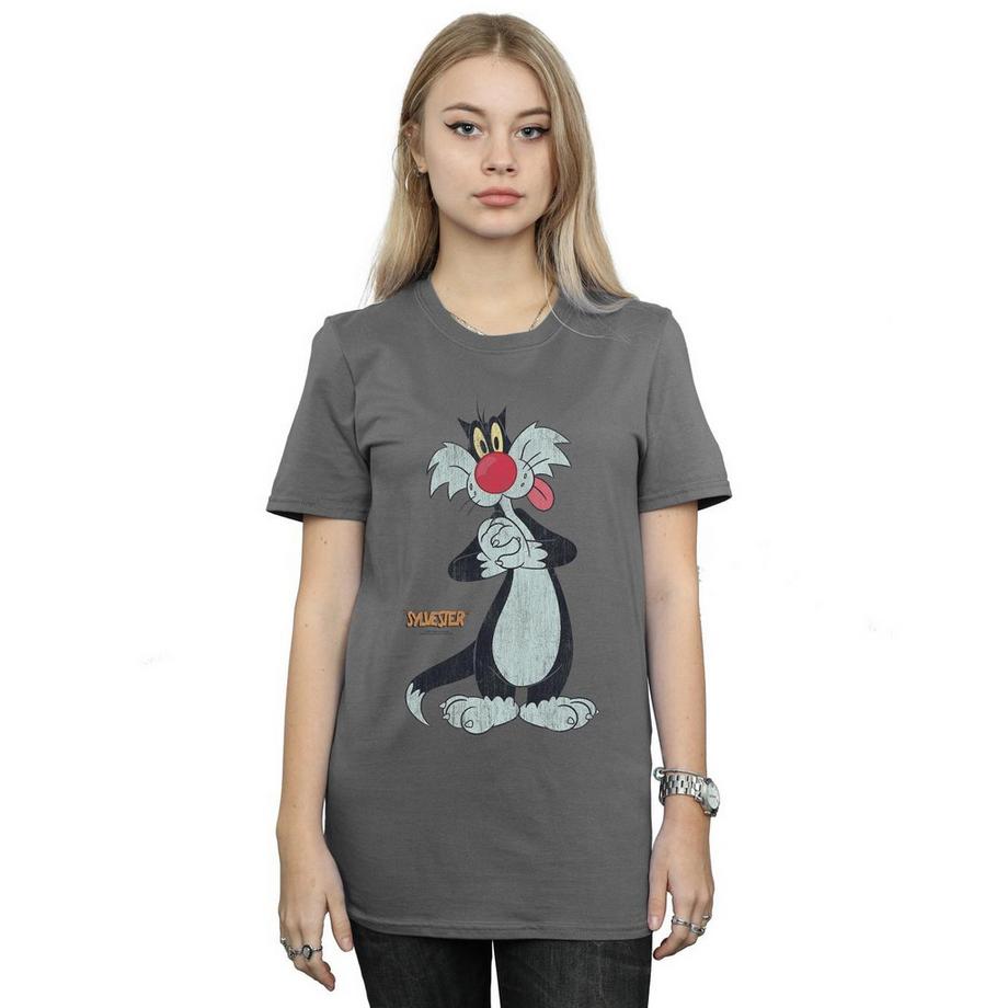 LOONEY TUNES Sylvester the Cat T-Shirt Imprimé  