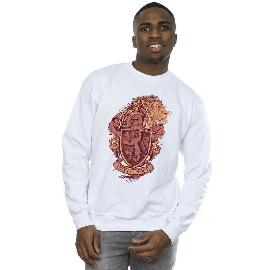 Harry Potter Gryffindor Grafikdruck Sweatshirt  