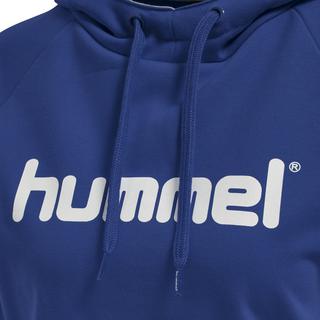 Hummel  sweatshirt à capuche huel cotton logo 