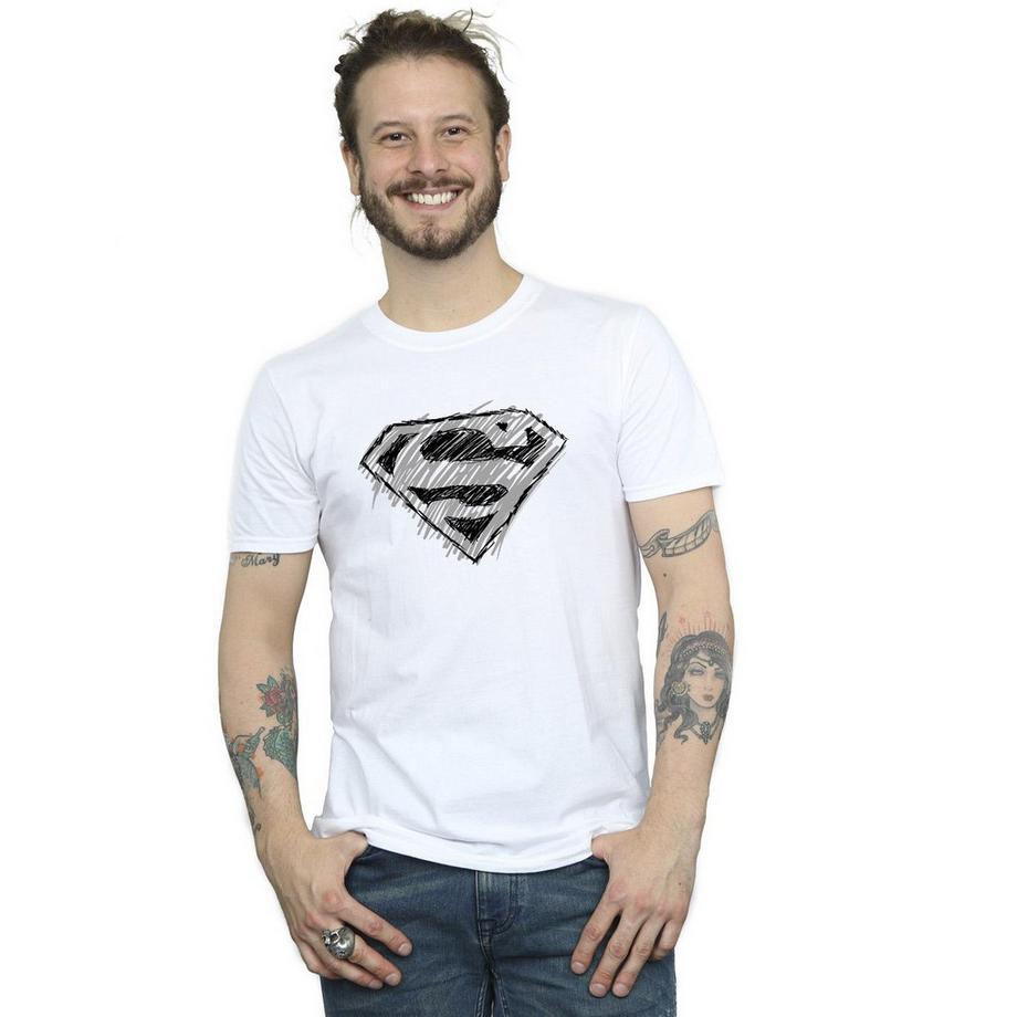 DC COMICS Superman Sketch Logo T-Shirt  