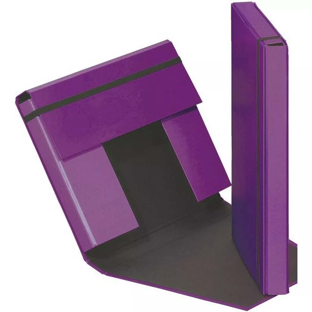 Pagna -  Sammelbox Trend A4 21308-12 Gummizugverschluss lila, 21cm