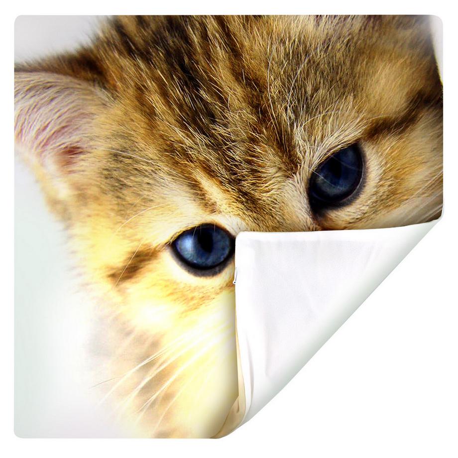 Avizar 2 Stk. Kissenbezüge Kätzchen  