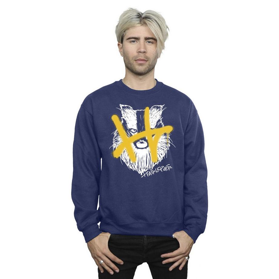 HARRY-POTTER Sweat Hufflepuff  