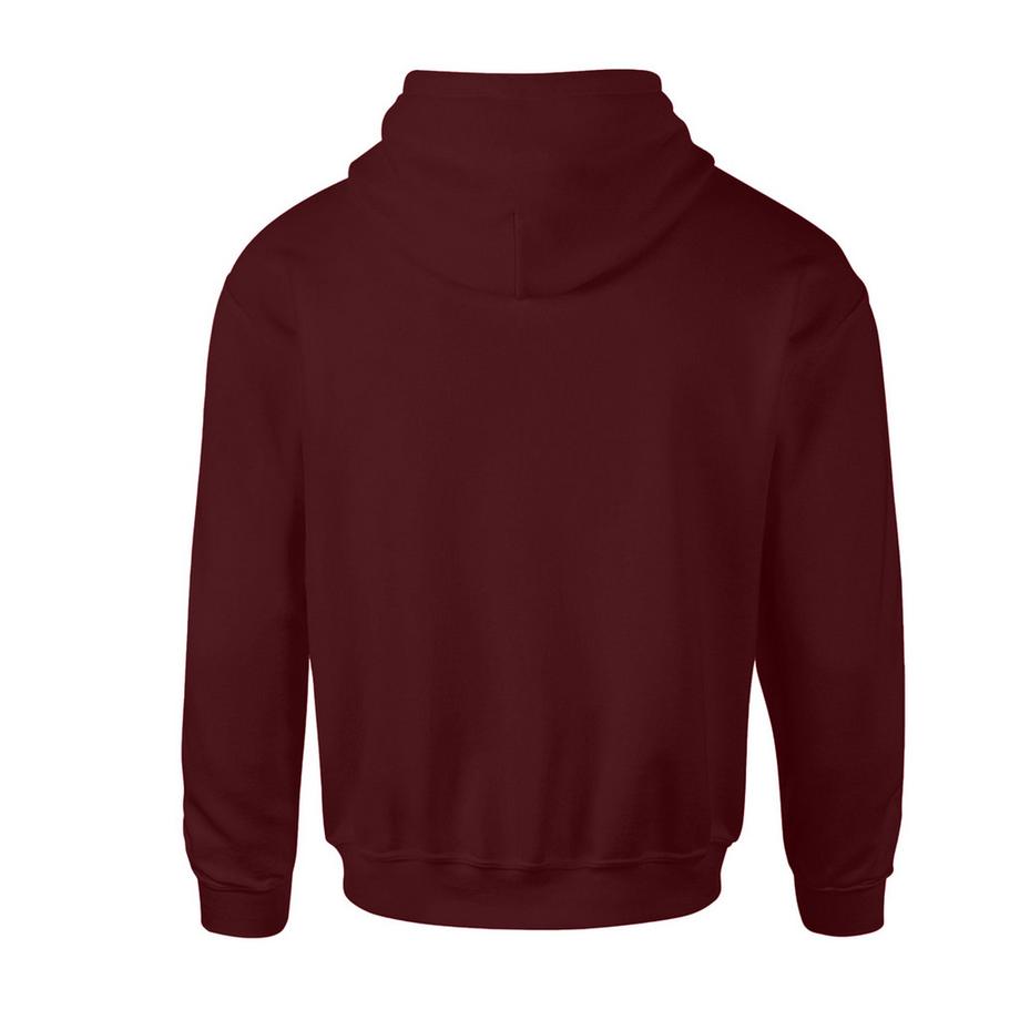 HARRY-POTTER  Sweat à capuche GRYFFINDOR 