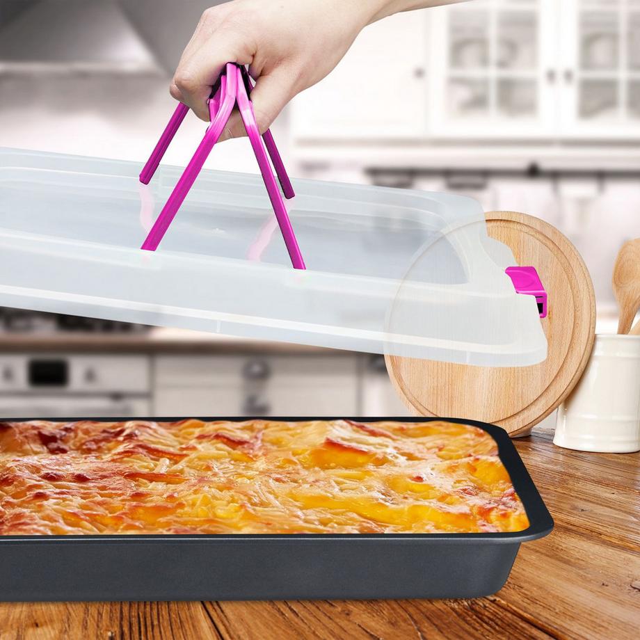 B2X Plaque de cuisson avec couvercle  