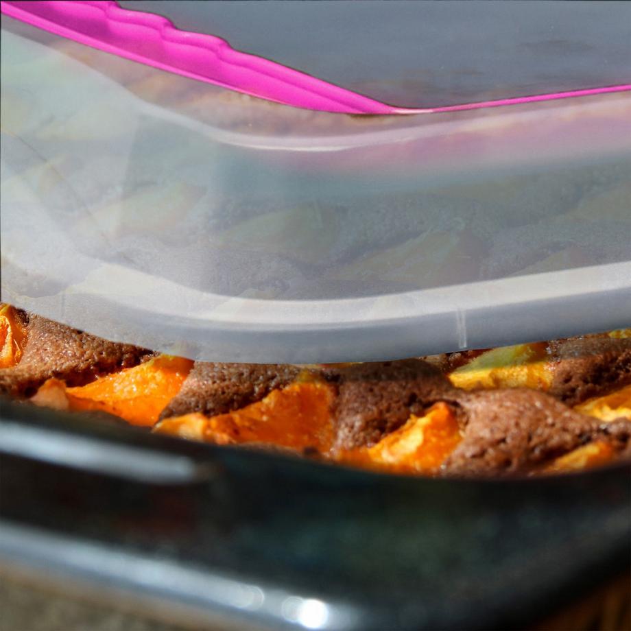 B2X Plaque de cuisson avec couvercle  