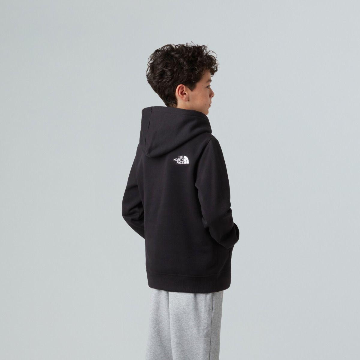THE NORTH FACE Drew Peak Hoodie  