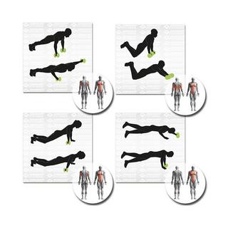 SCHILDKRÖT  Schildkröt Fitness 960147 attrezzatura per velocità e agilità 