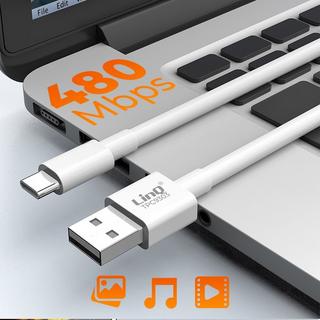 Avizar  USB-C 5A Fast Charging Kabel 3m LinQ 