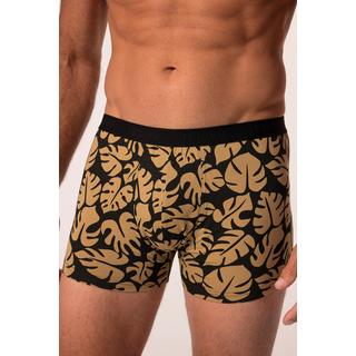 JP1880 FLEXNAMIC OEKO-TEX Hip-Pants 2er-Pack  