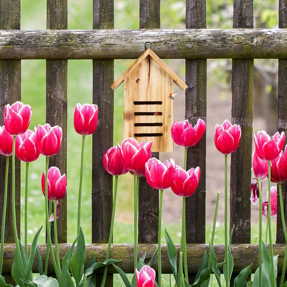 B2X Maison de coccinelle en bois avec des flammes  