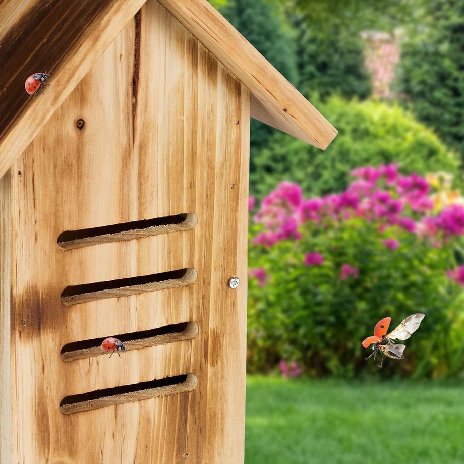 B2X Maison de coccinelle en bois avec des flammes  