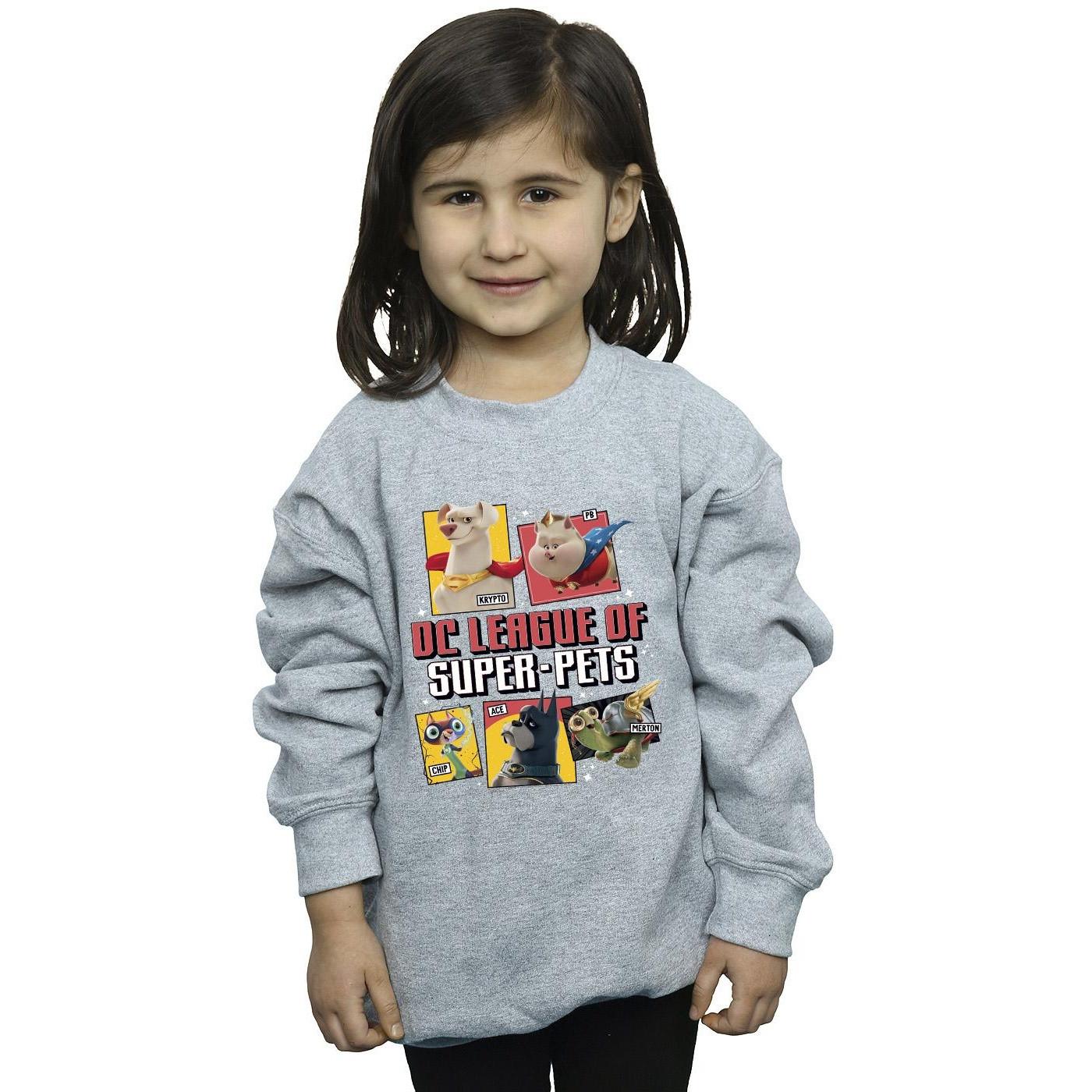 DC COMICS  DC League Of SuperPets Sweatshirt 