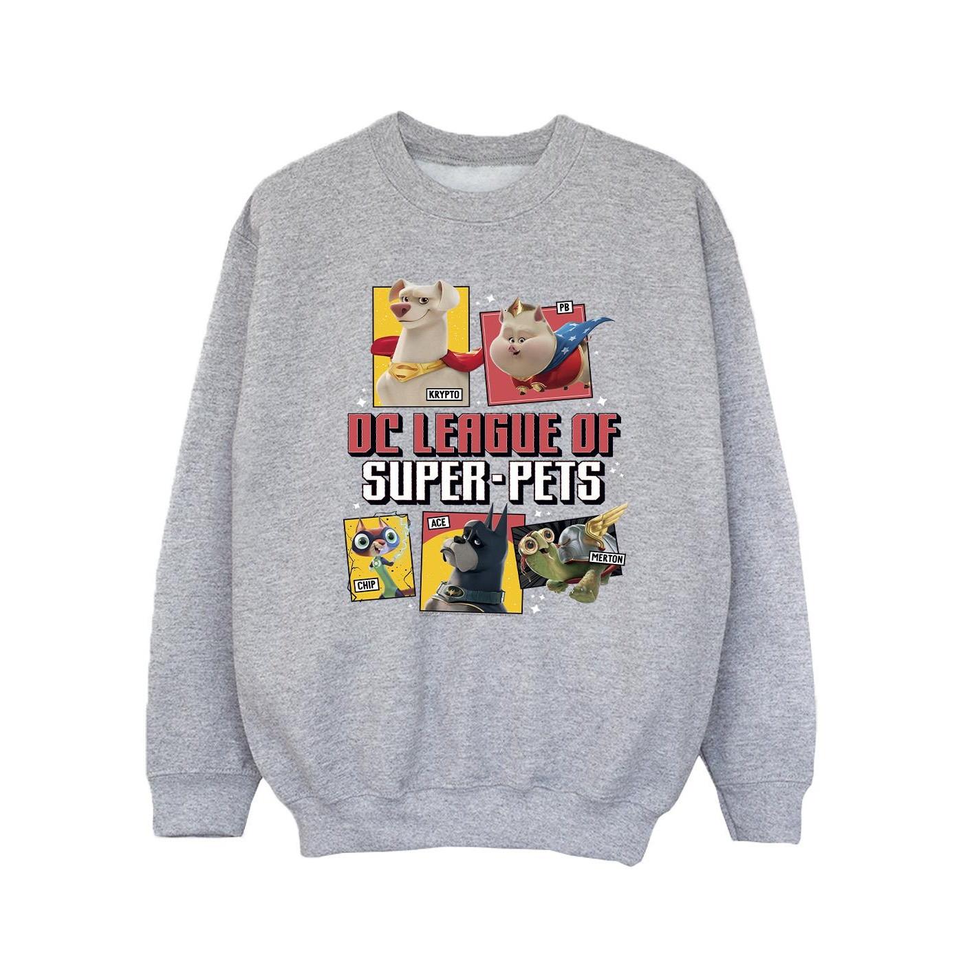 DC COMICS  DC League Of SuperPets Sweatshirt 