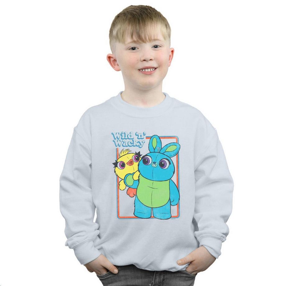 Disney  Toy Story 4 Wild And Wacky Sweatshirt 