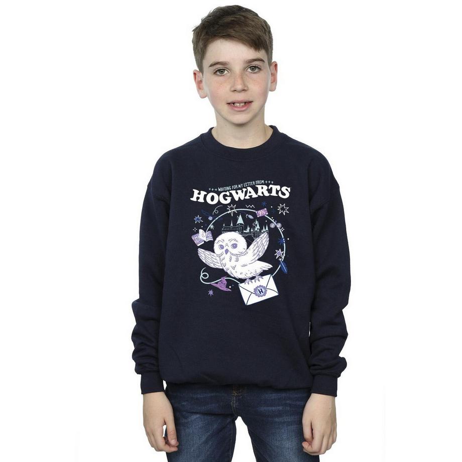 HARRY-POTTER  Sweat LETTER FROM HOGWARTS 