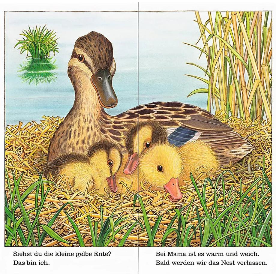 Ich bin die kleine Ente Spanner, Helmut; Spanner, Helmut (Illustrationen) Gebundene Ausgabe 