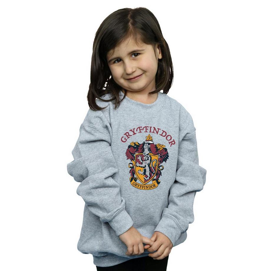 Harry Potter  Sweatshirt 