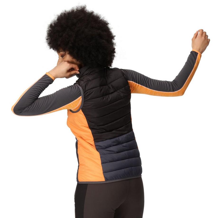 Regatta Harrock II Gilet  