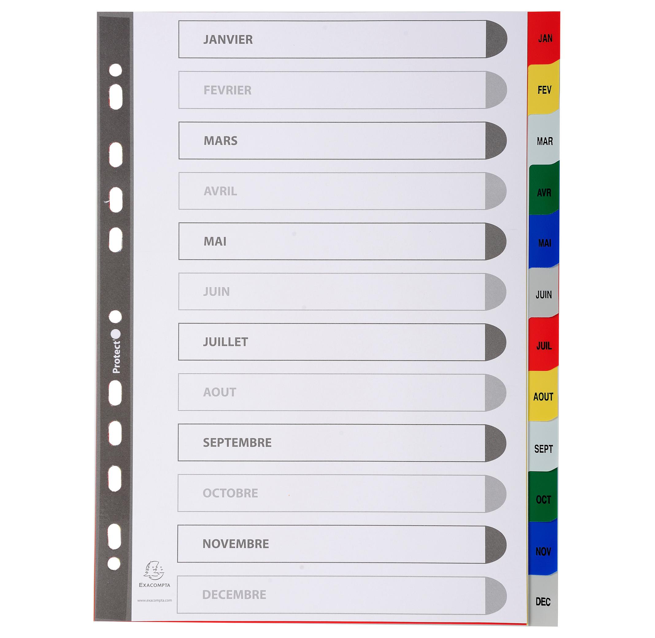 Exacompta Register für Ordner und Ringbücher, aus PP, 12 Positionen, Taben Jan.-Dez., für DIN A4 - x 20  