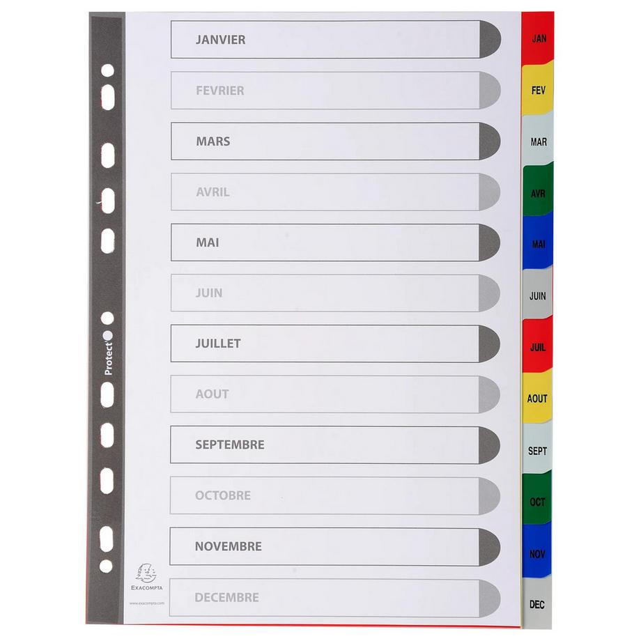Exacompta Intercalaires imprimés mensuels PP couleurs Janv-Décembre - A4 - x 20  