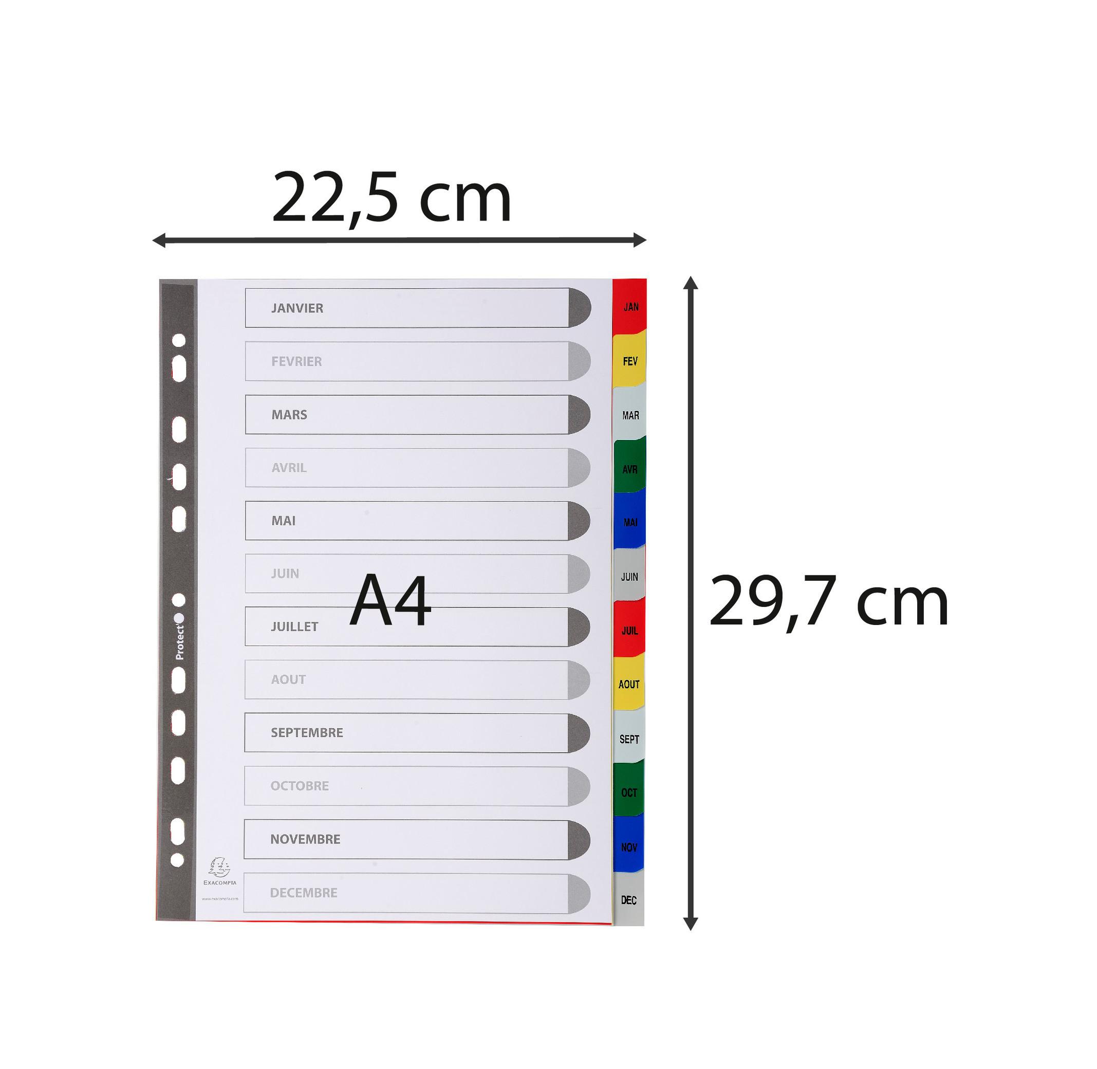 Exacompta Register für Ordner und Ringbücher, aus PP, 12 Positionen, Taben Jan.-Dez., für DIN A4 - x 20  