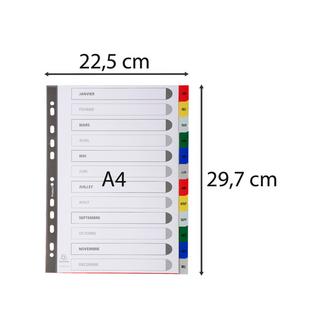 Exacompta Register für Ordner und Ringbücher, aus PP, 12 Positionen, Taben Jan.-Dez., für DIN A4 - x 20  