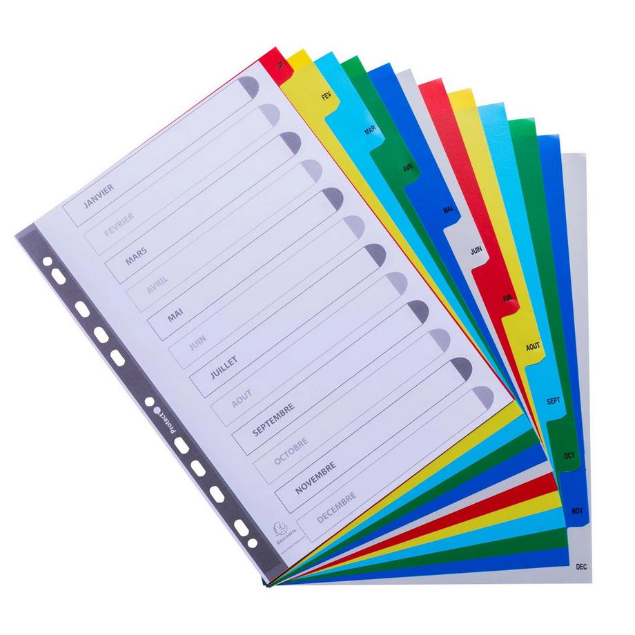 Exacompta Intercalaires imprimés mensuels PP couleurs Janv-Décembre - A4 - x 20  