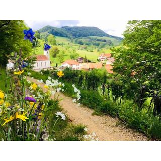 Smartbox  2 nuits avec massage en maison d'hôtes dans le Canton du Jura - Coffret Cadeau 