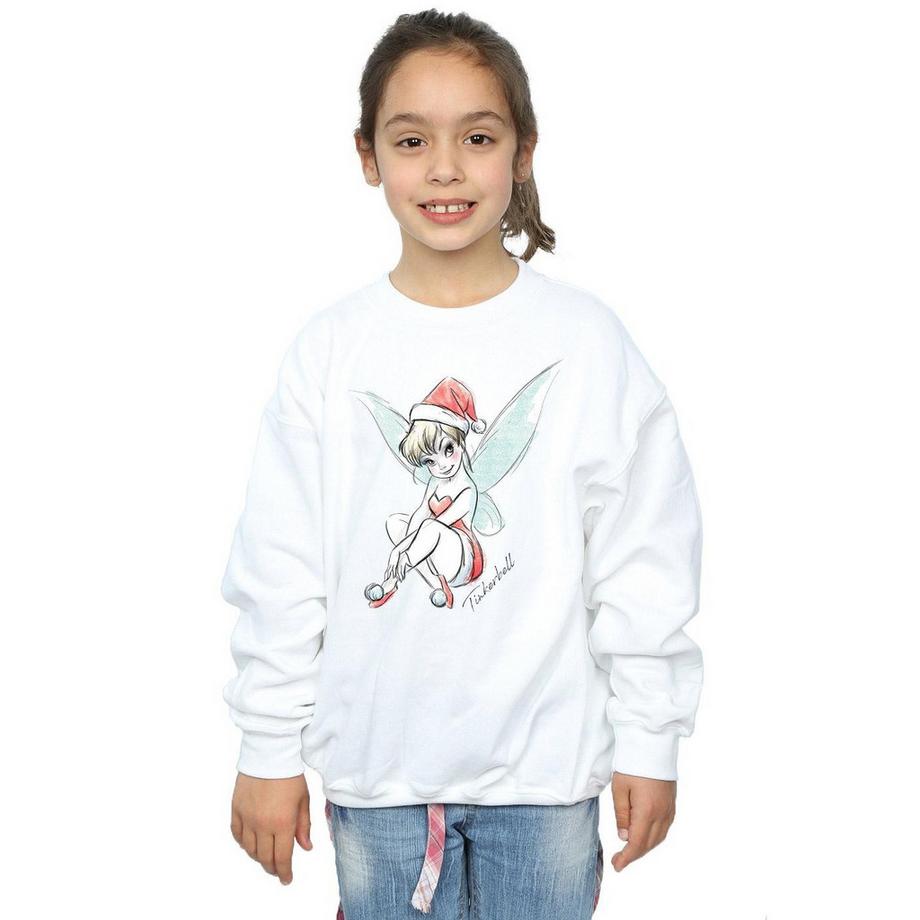 Disney  Fairy Sweatshirt 