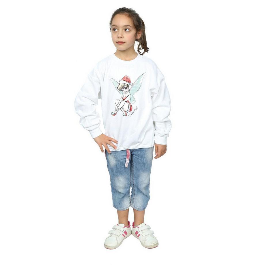 Disney  Fairy Sweatshirt 