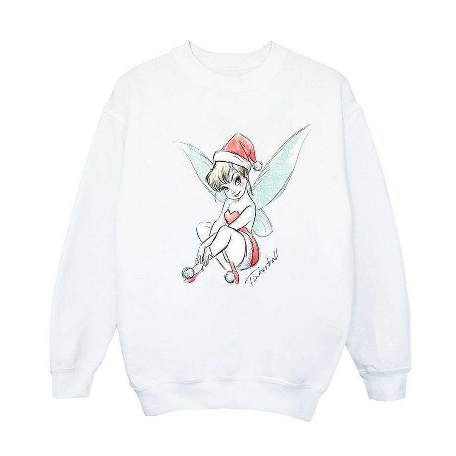 Disney  Fairy Sweatshirt 