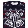 Harry Potter  Pullover 