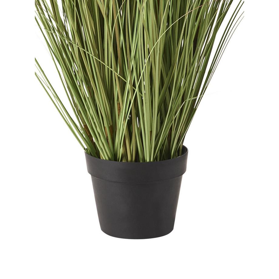 Beliani Kunstpflanze aus Kunststoff Skandinavisch CLAW FLOWER  